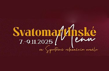 SVATOMARTINSKÁ HUSA V AREÁLU